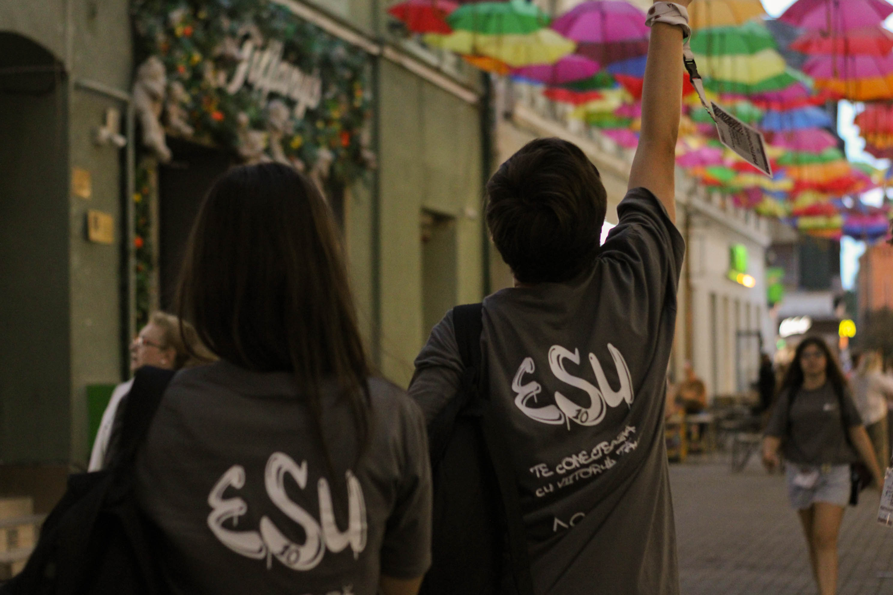 Workshop electronică